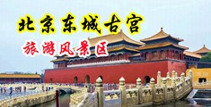 插BB无码高清视频中国北京-东城古宫旅游风景区